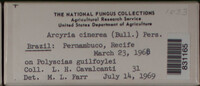 Image Associated With the Occurence
